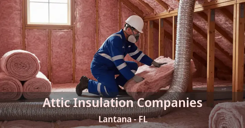Attic Insulation Companies Lantana - FL Attic Insulation Companies Lantana - FL