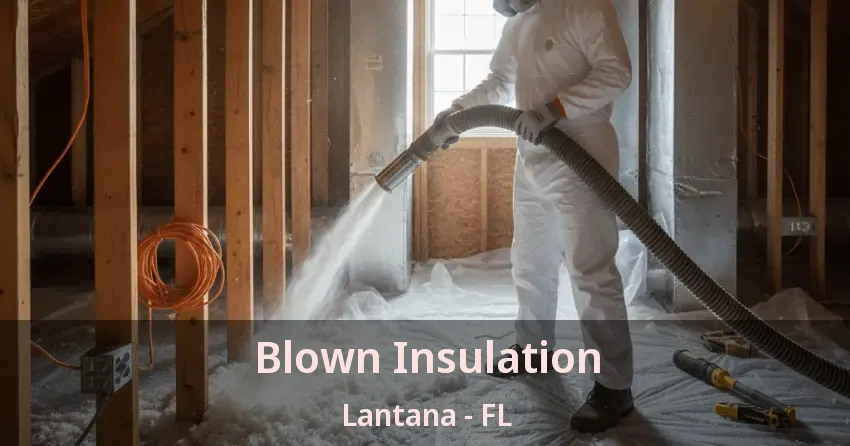 Blown Insulation Lantana - FL