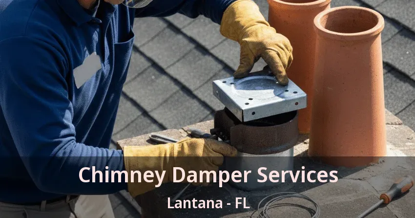 Chimney Damper Services Lantana - FL