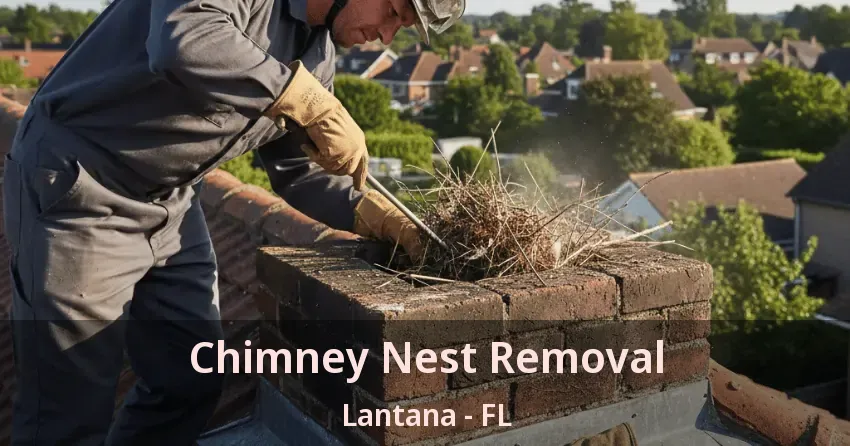 Chimney Nest Removal Lantana - FL Chimney Nest Removal Lantana - FL
