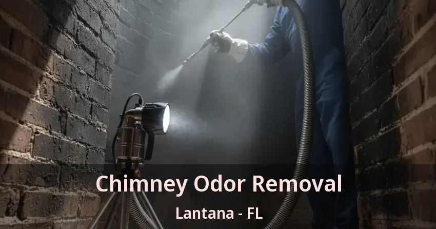 Chimney Odor Removal Lantana - FL