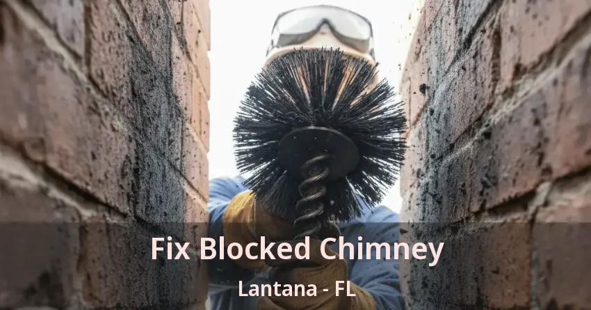Fix Blocked Chimney Lantana - FL
