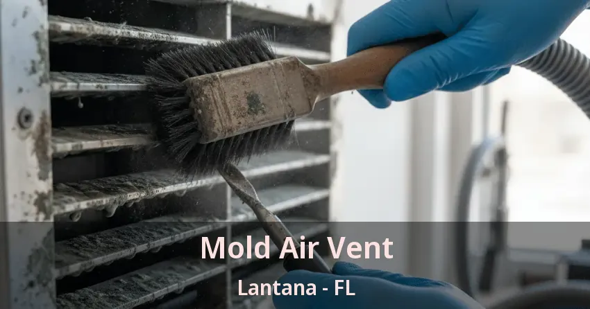 Mold Air Vent Lantana - FL