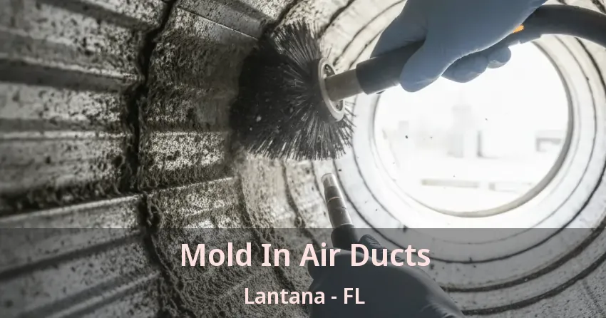 Mold In Air Ducts Lantana - FL Mold In Air Ducts Lantana - FL