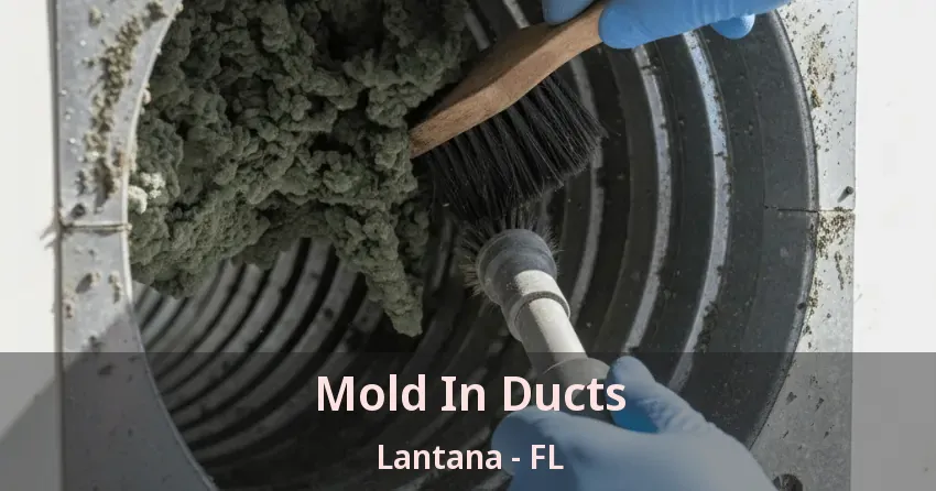 Mold In Ducts Lantana - FL