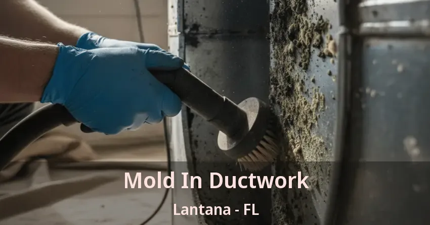 Mold In Ductwork Lantana - FL Mold In Ductwork Lantana - FL