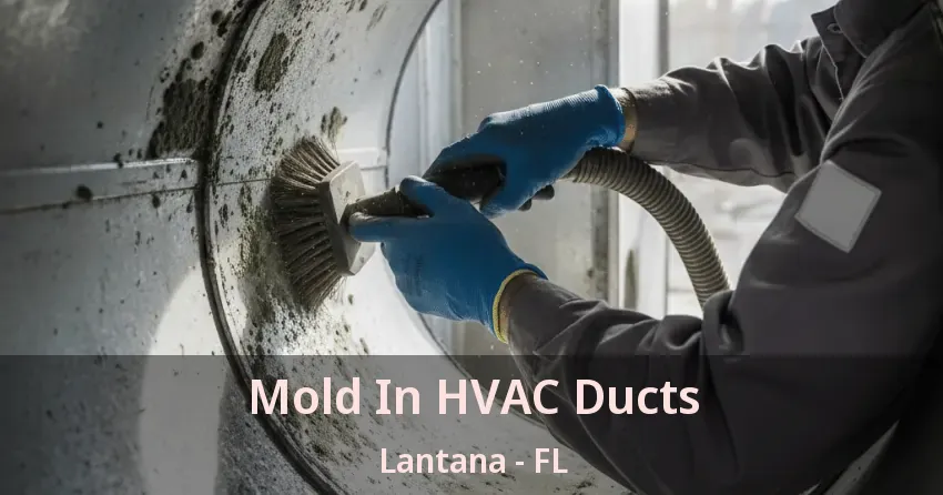 Mold In HVAC Ducts Lantana - FL Mold In HVAC Ducts Lantana - FL