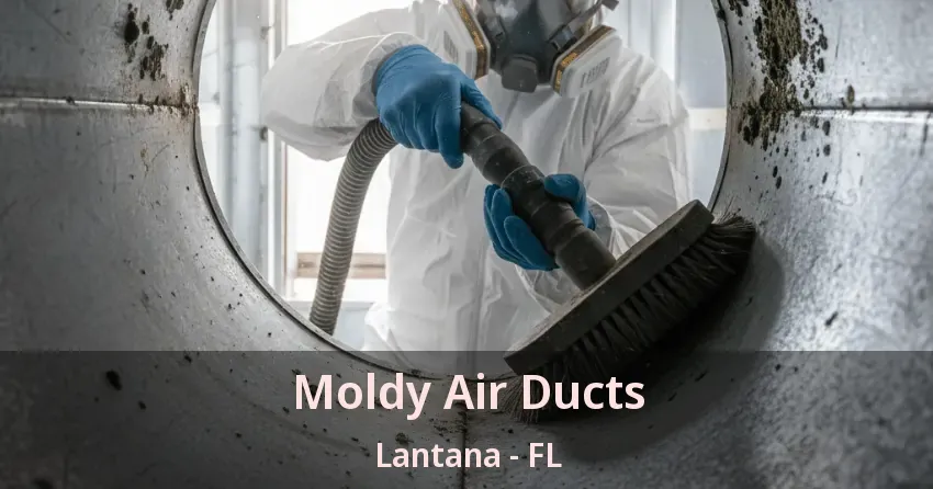 Moldy Air Ducts Lantana - FL